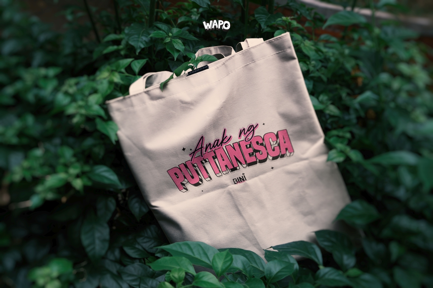 Tote Bag Mockup BINI_3-expo